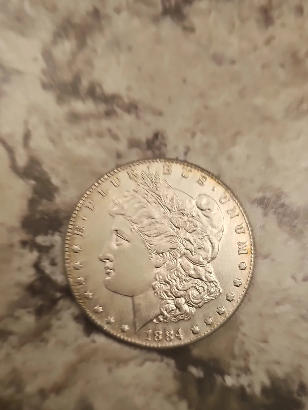 Morgan Silver Dollar Style Decorative Coin Accent in Silver